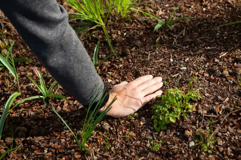 Garten pflegen lassen in Minden-Lübbecke