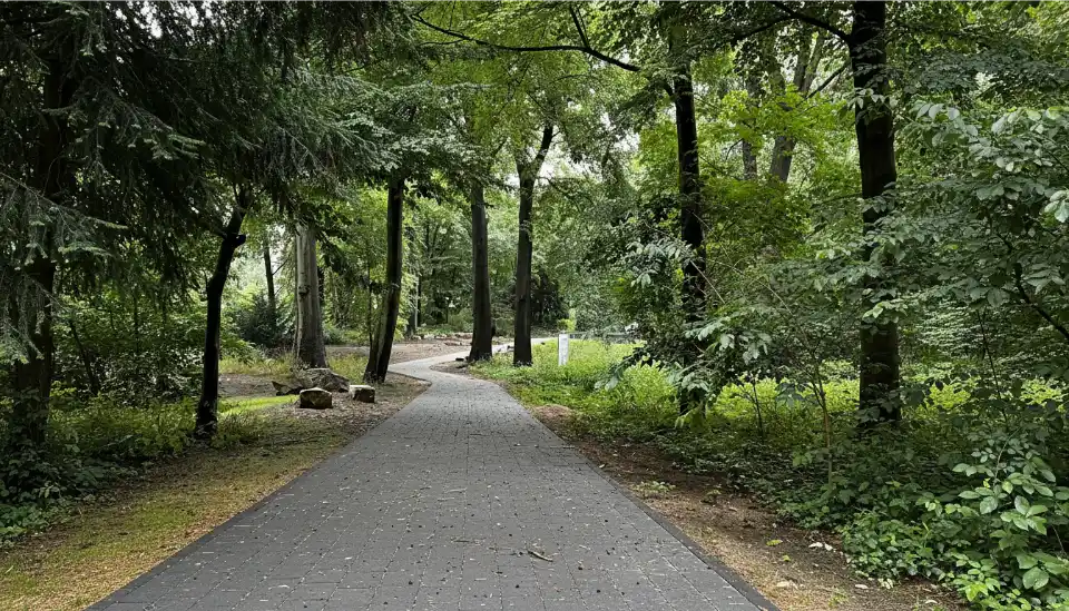 Garten gestalten lassen, Gartengestaltung