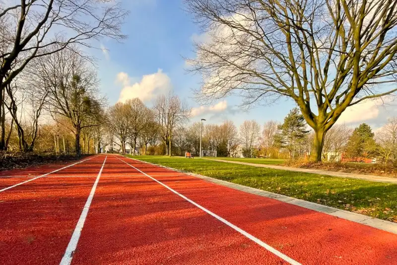 Garten gestalten lassen, Gartengestaltung