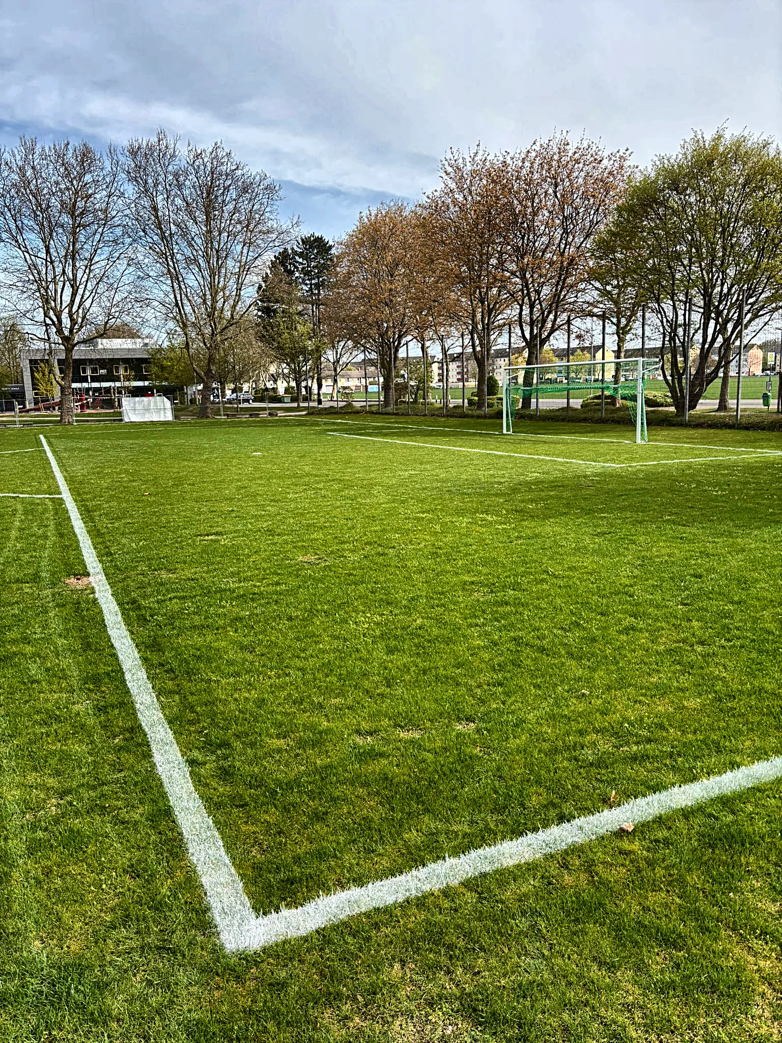 Gepflegter Naturrasen-Sportplatz für den Vereinssport
