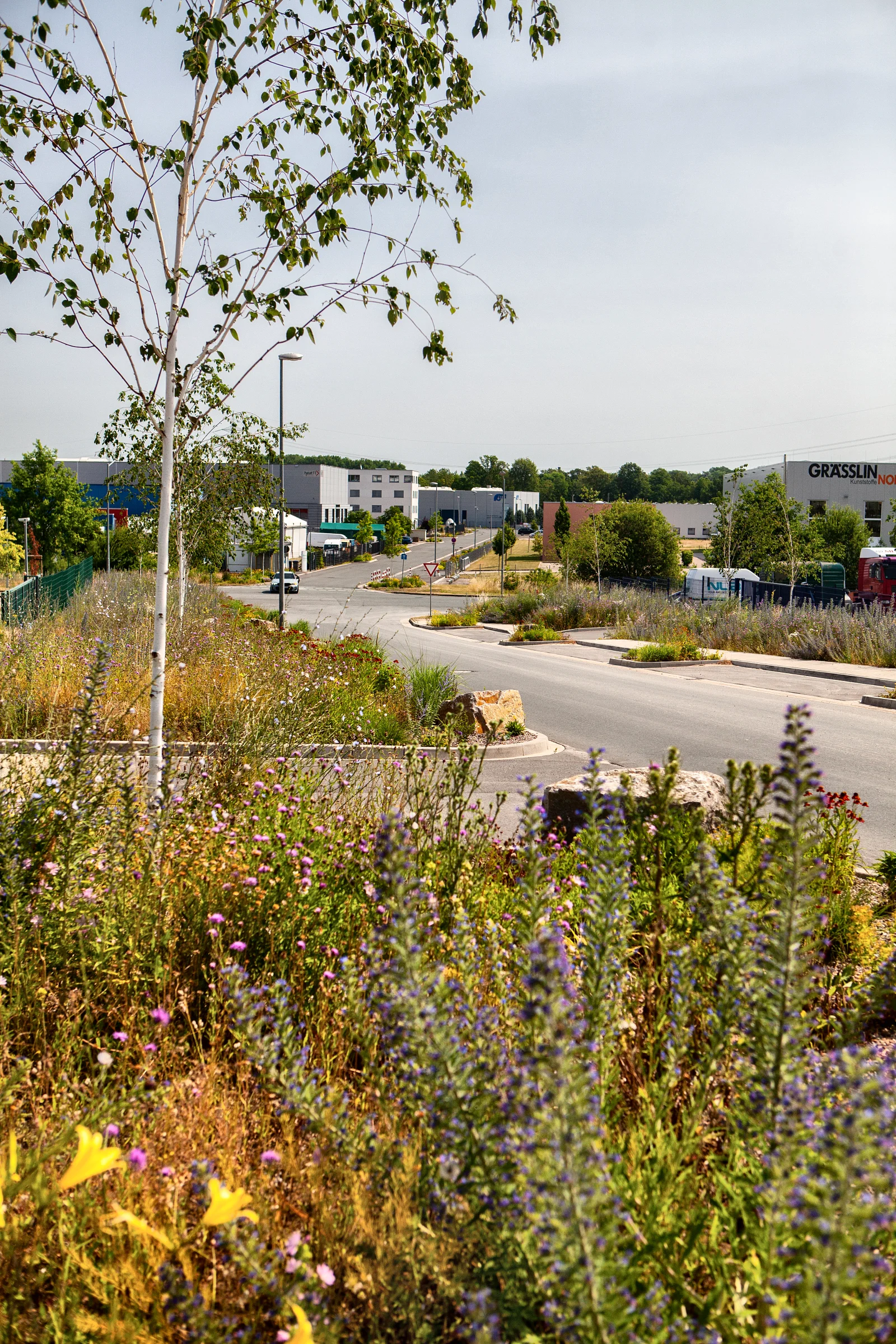 Klimaresilienter Straßenraum mit Wasserführung und Vegetation