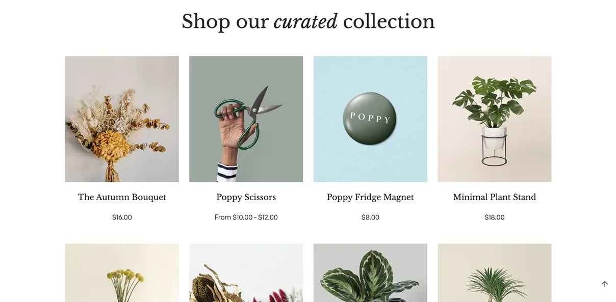 Featured Collections
