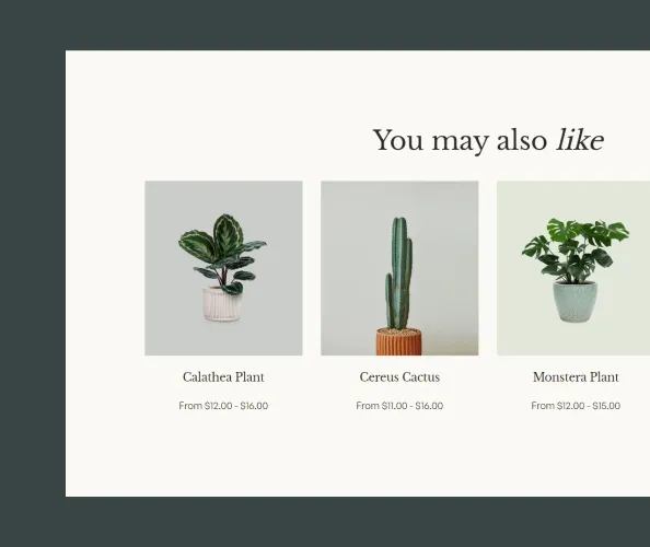 poppy recommended products