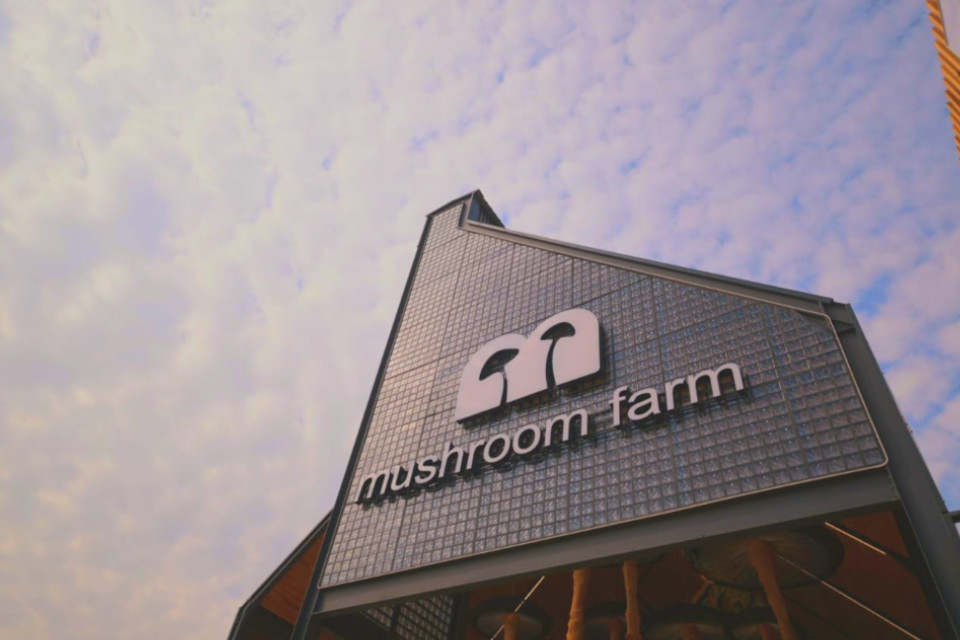 R600m Mushroom Farm Centre Opens - Waterfall’s New Retail Anchor
