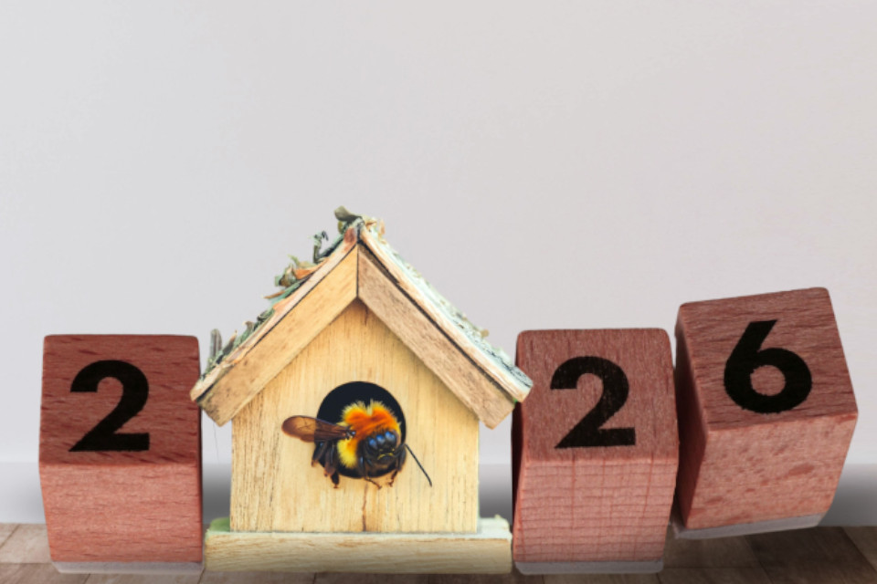 SA Property enters 2026 with real momentum - not hype