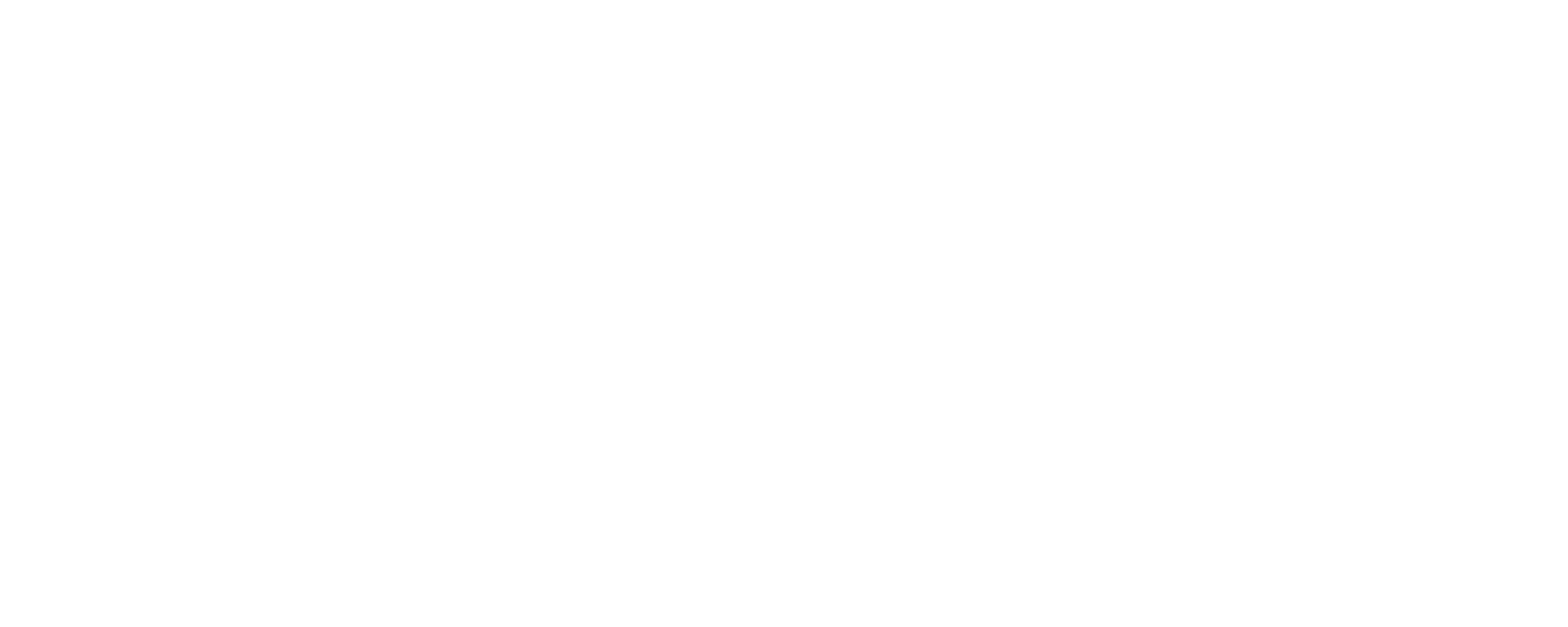 Logo Paris Society