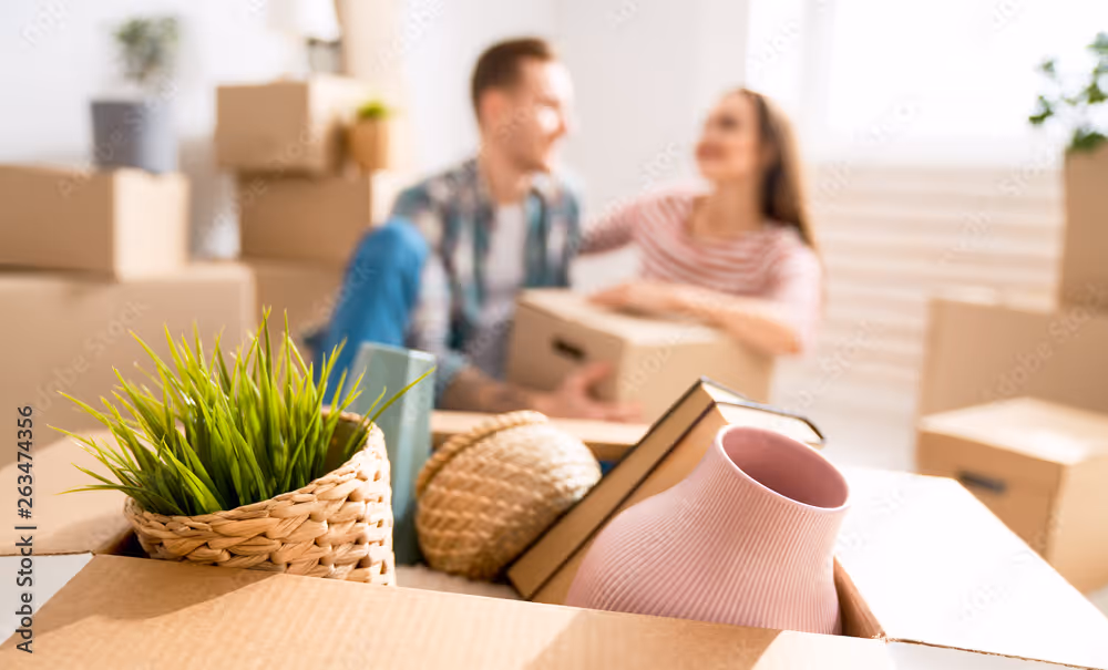 A couple sits among moving boxes, with a potted plant and vase in the foreground.