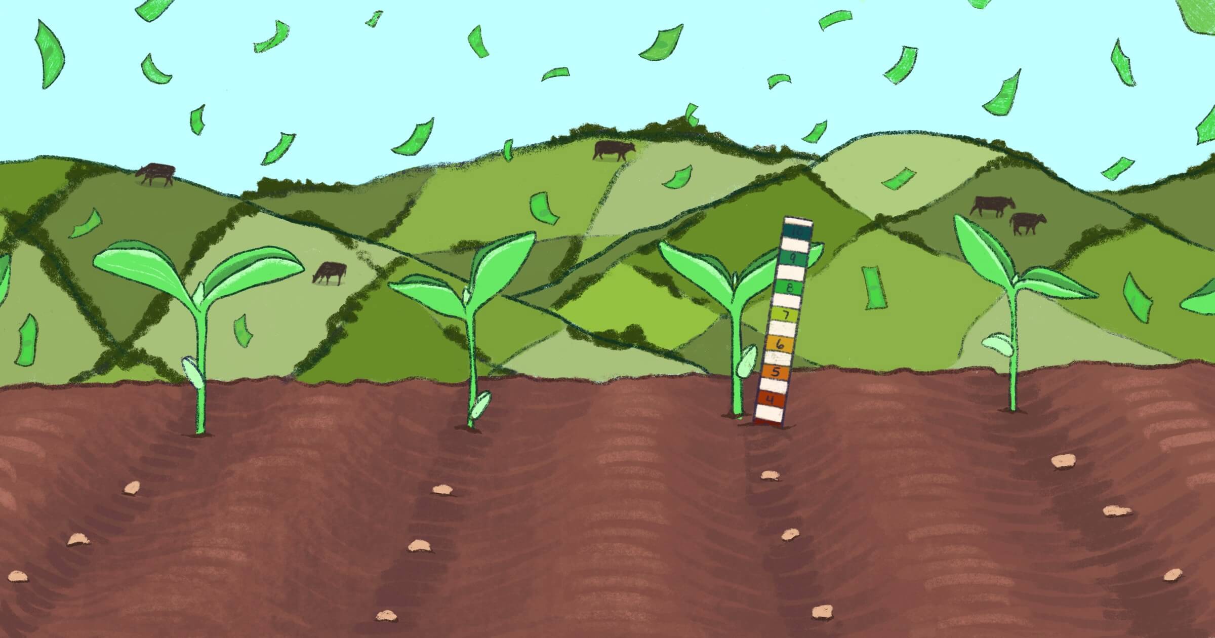 Seeding Power