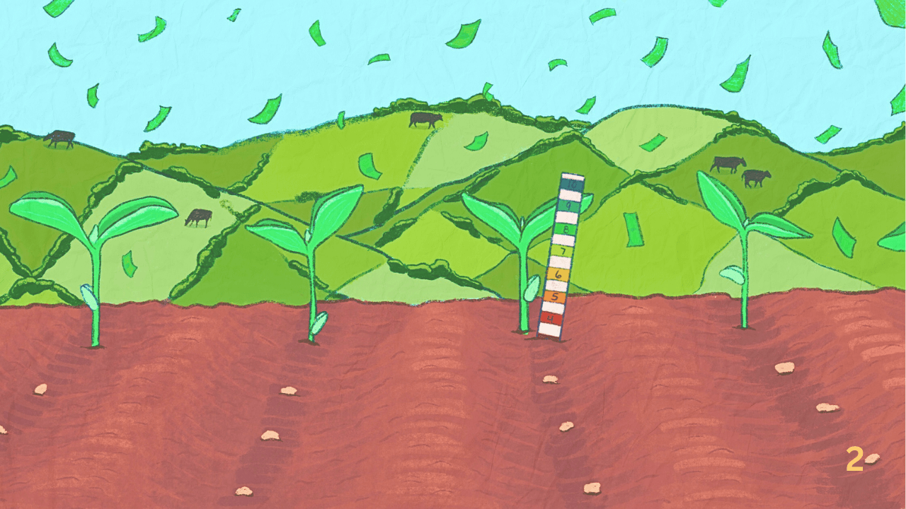 Seeding Power