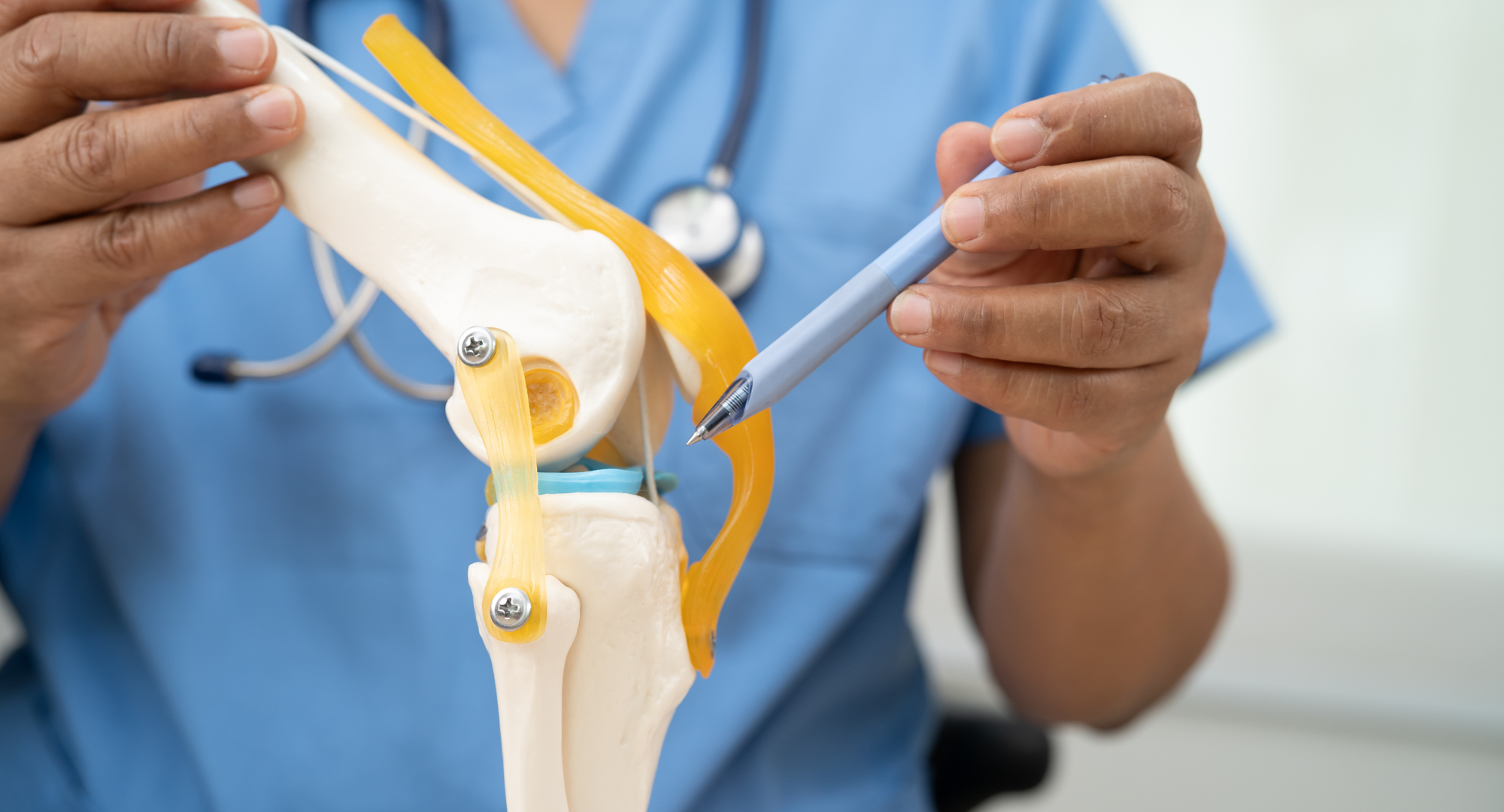 ortoped pokazuje model kolena; ortopedska poliklinika ivković