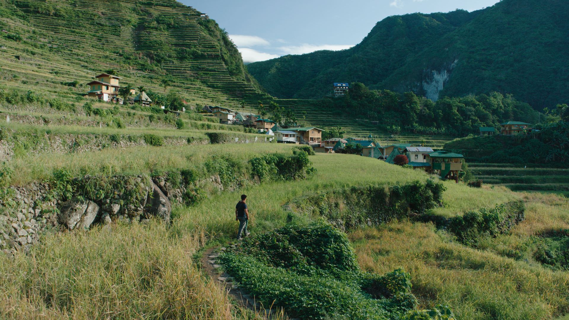 Payo'n Binoltan - Ifugao Rice Terraces