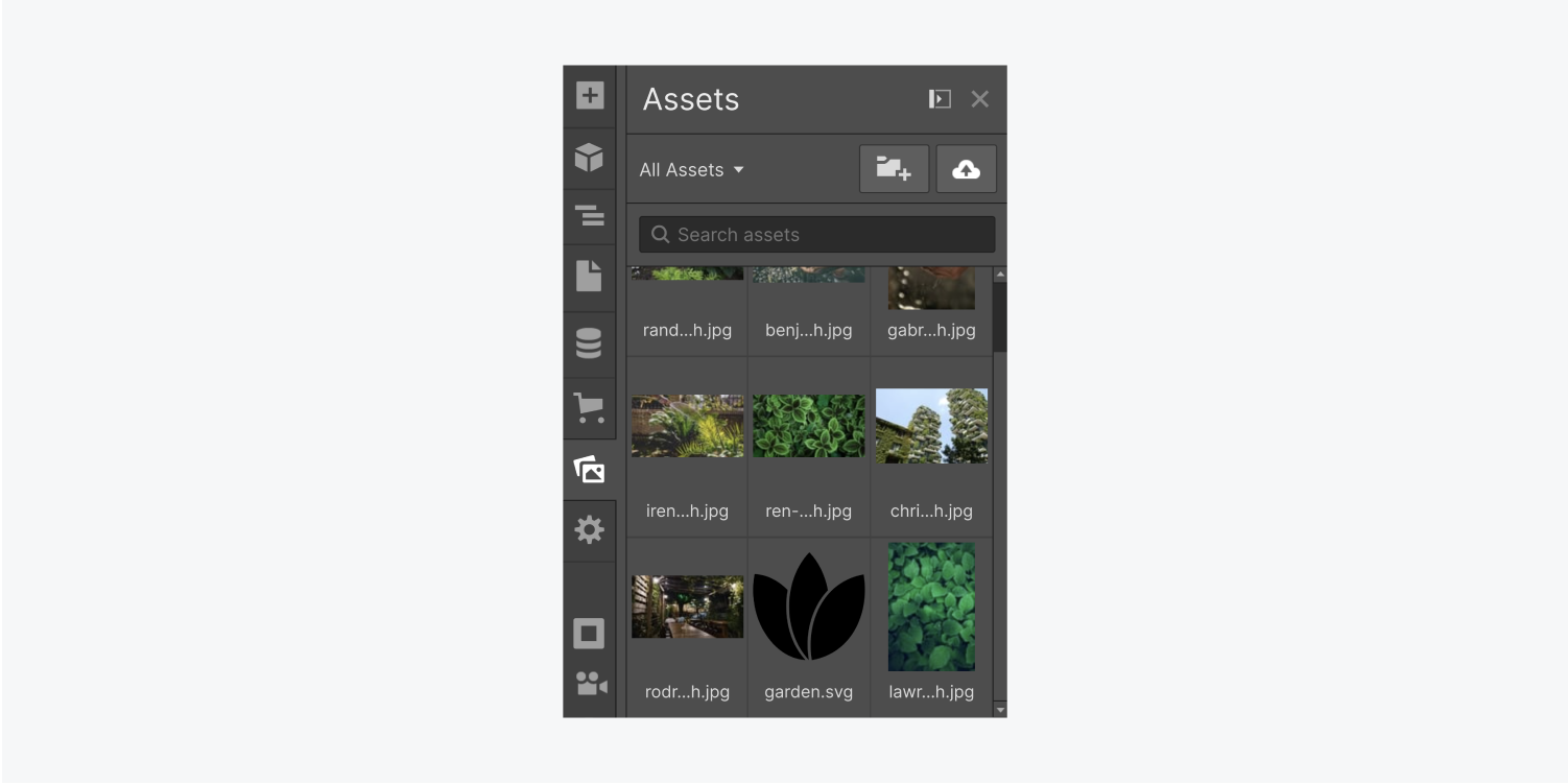 The Assets panel displays nine images of plants life scenes.