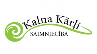 kool logo