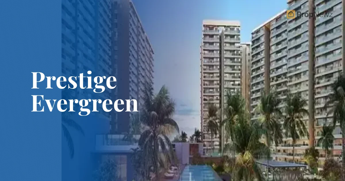 Prestige Evergreen
