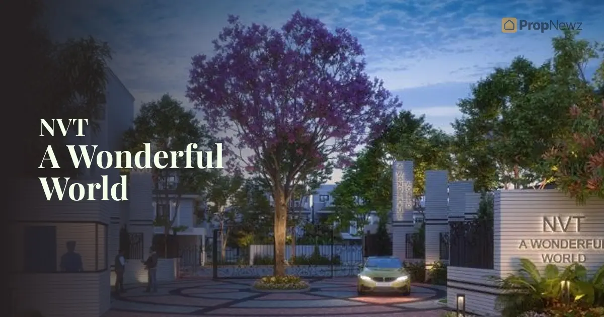 NVT A Wonderful World