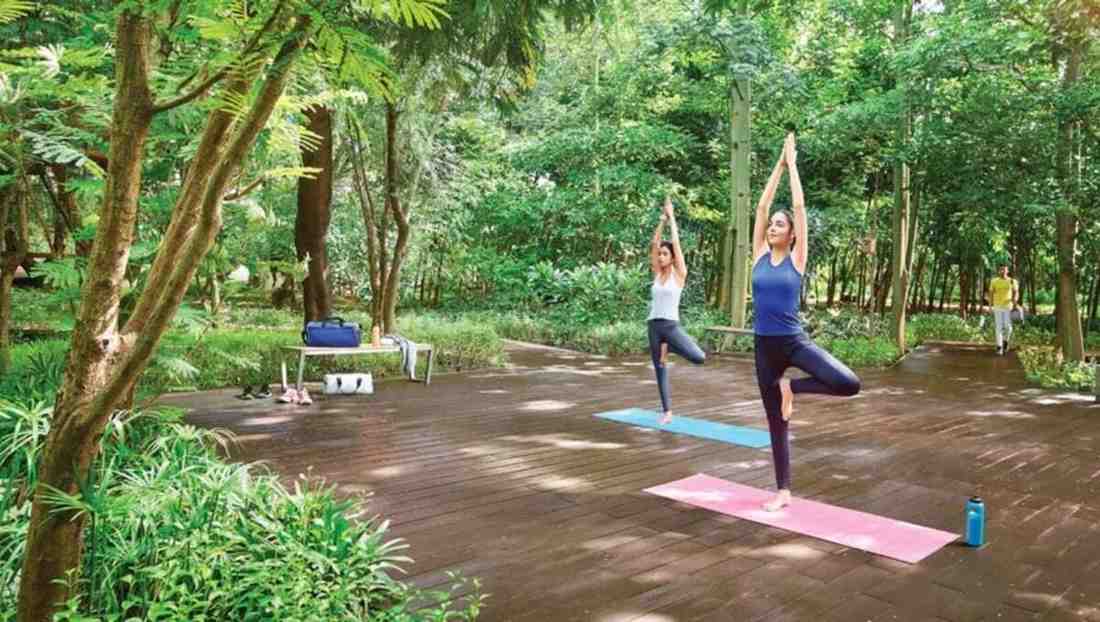 Lodha Haven Outdoor Yoga Deck and Garden