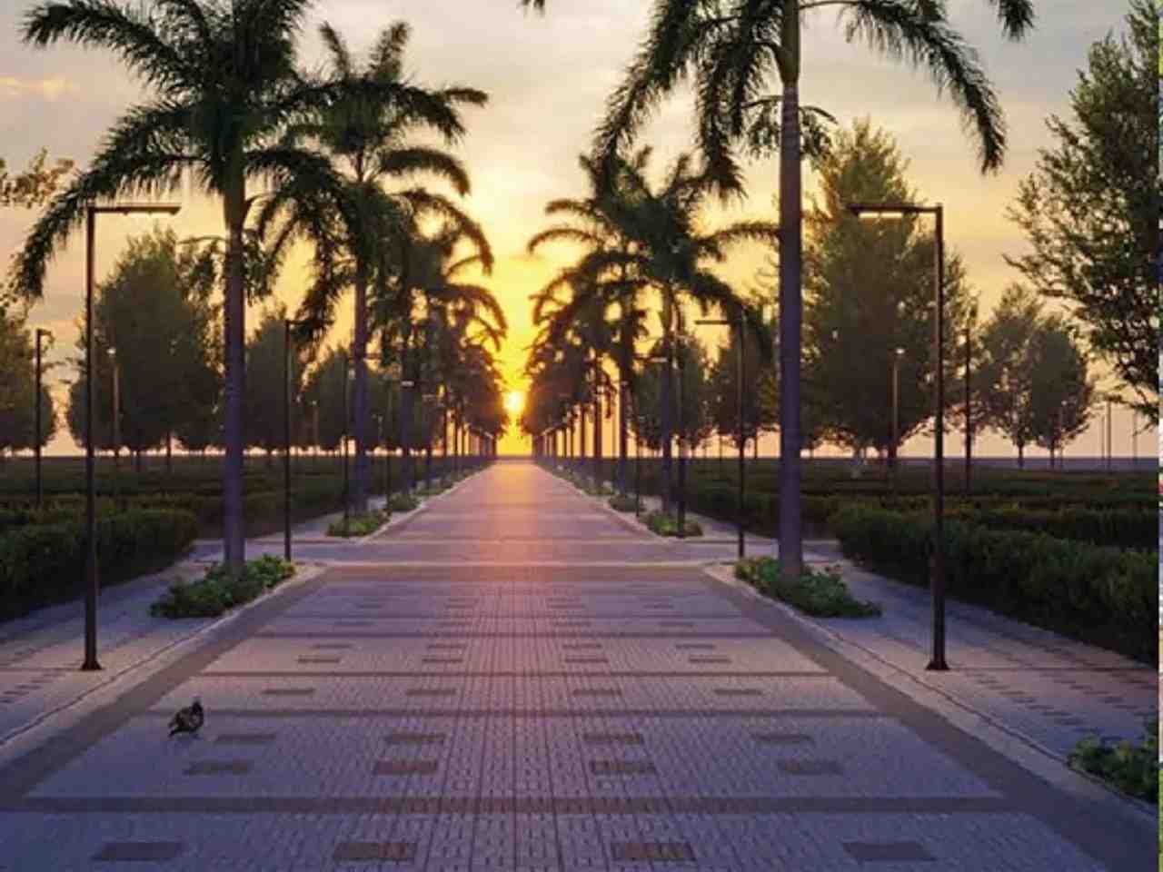 Tree lined walkway at Sattva Doddaballapura Plots