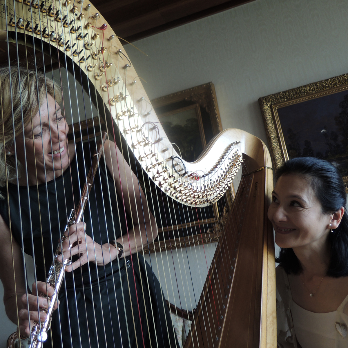 Cecile Prakken, flauto | Motoko Tanaka, arpa | Teatro Don Costante Cereda, Inverigo