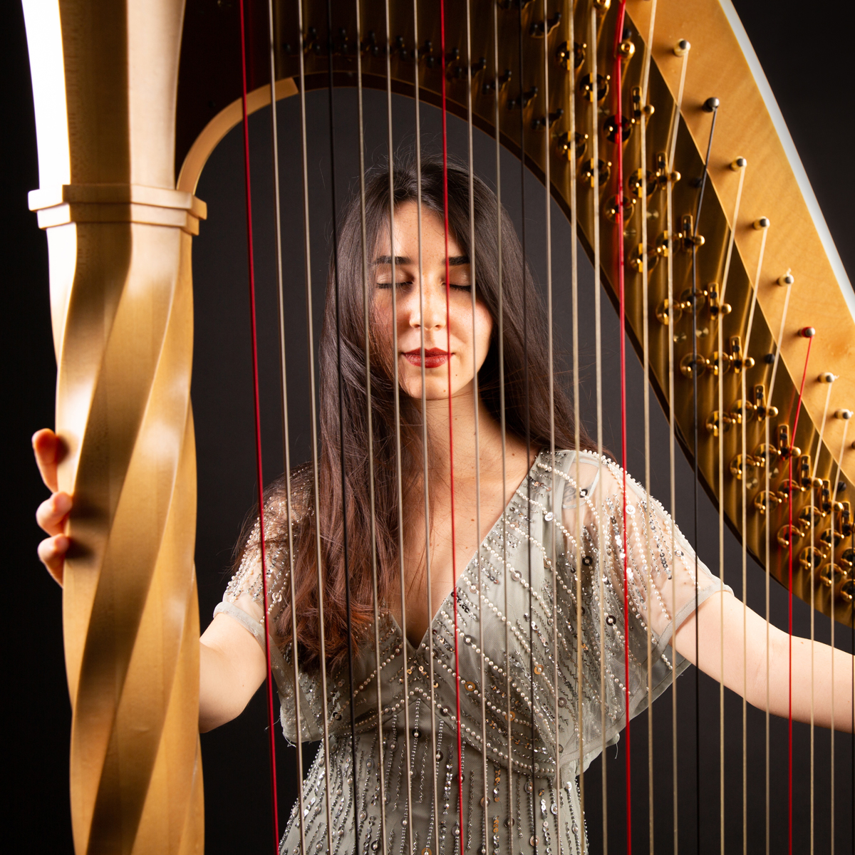6° Concerto Incontri Musicali | Teatro Rosetum | Agnese Contadini, arpa