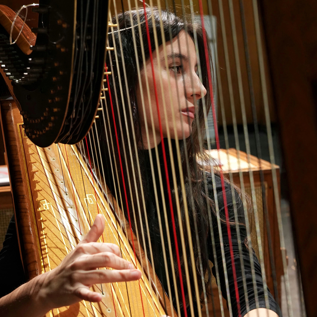 Martina Nifantani, arpa | Teatrino di Corte della Villa Reale, Monza - ore 11,00