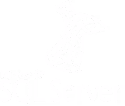 data transformation tool microsoft sql server analysis services logo