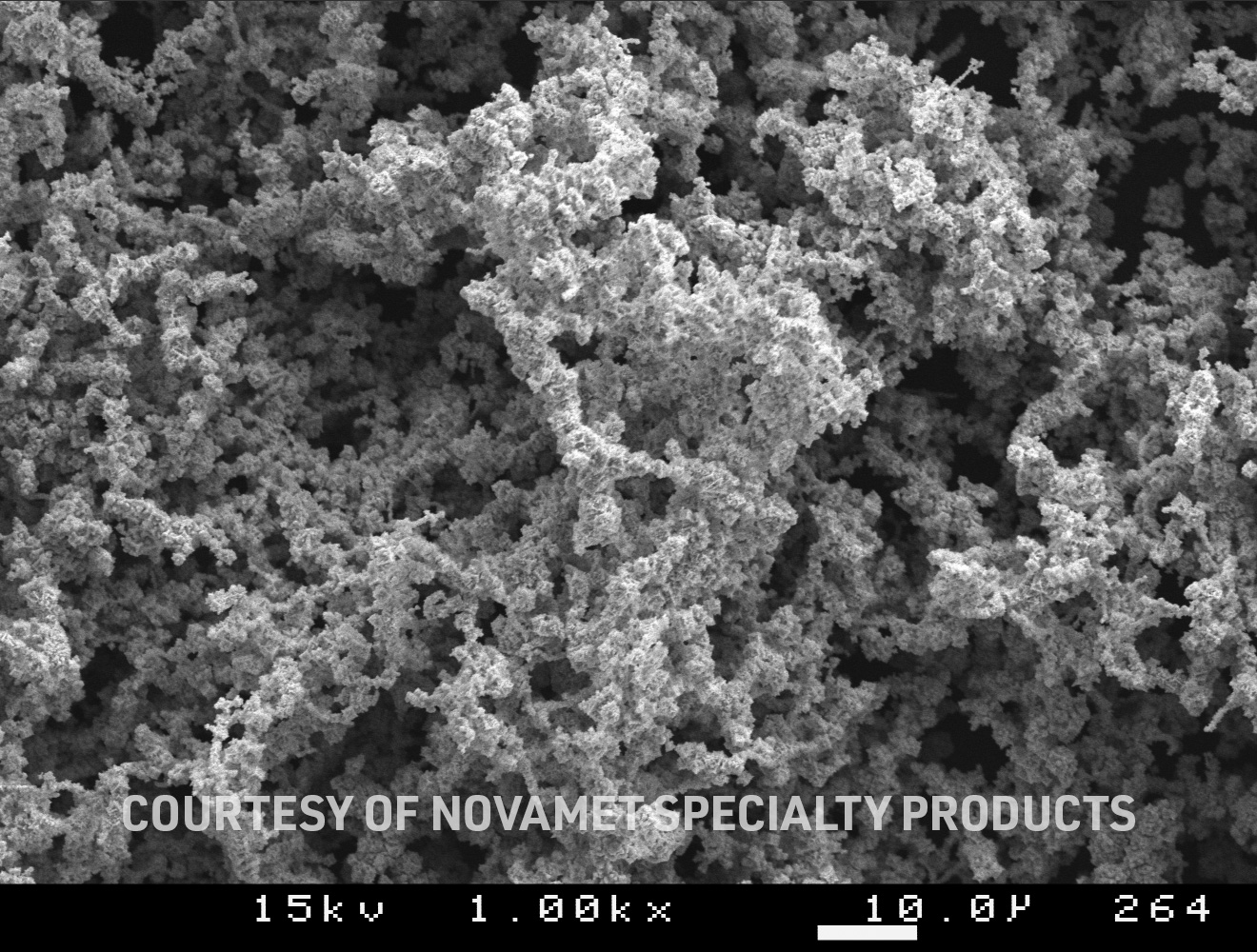 Vale T255™ Nickel Powder, SEM image supplied by Novamet Specialty Products