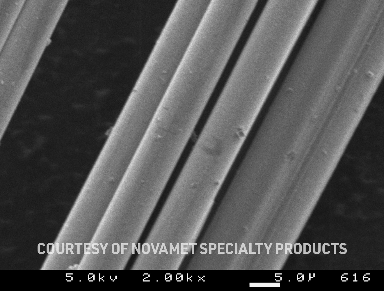SEM image of Nickel-coated fibres