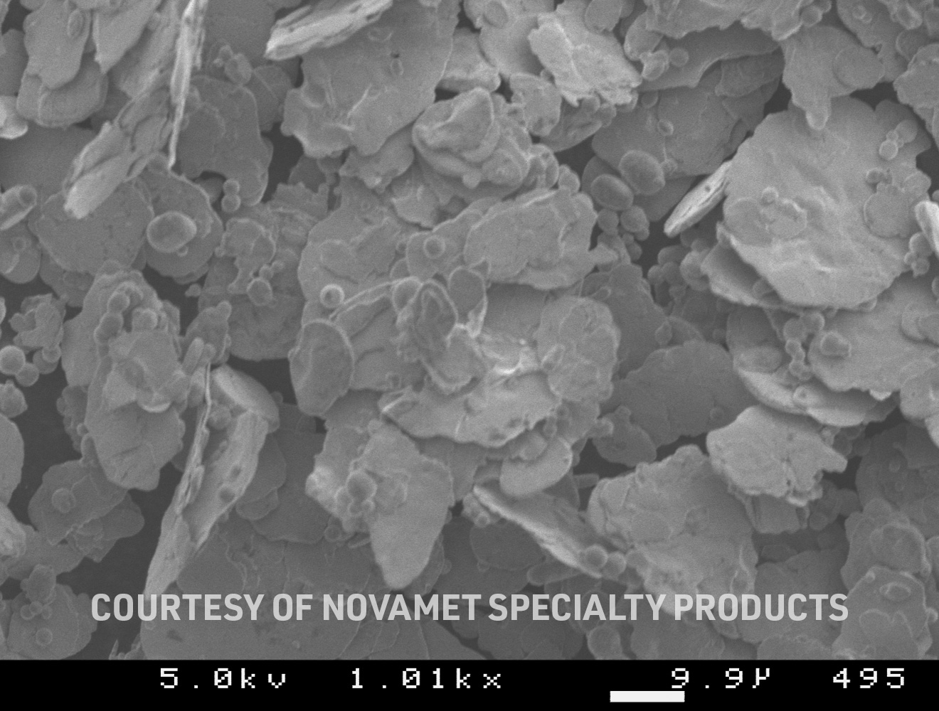 SEM image of Zinc Flakes