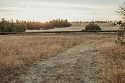 Ritzville