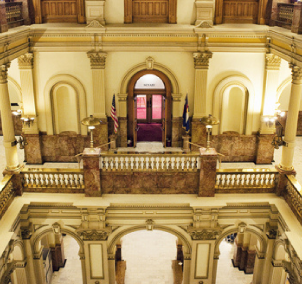 Furman Political Strategies