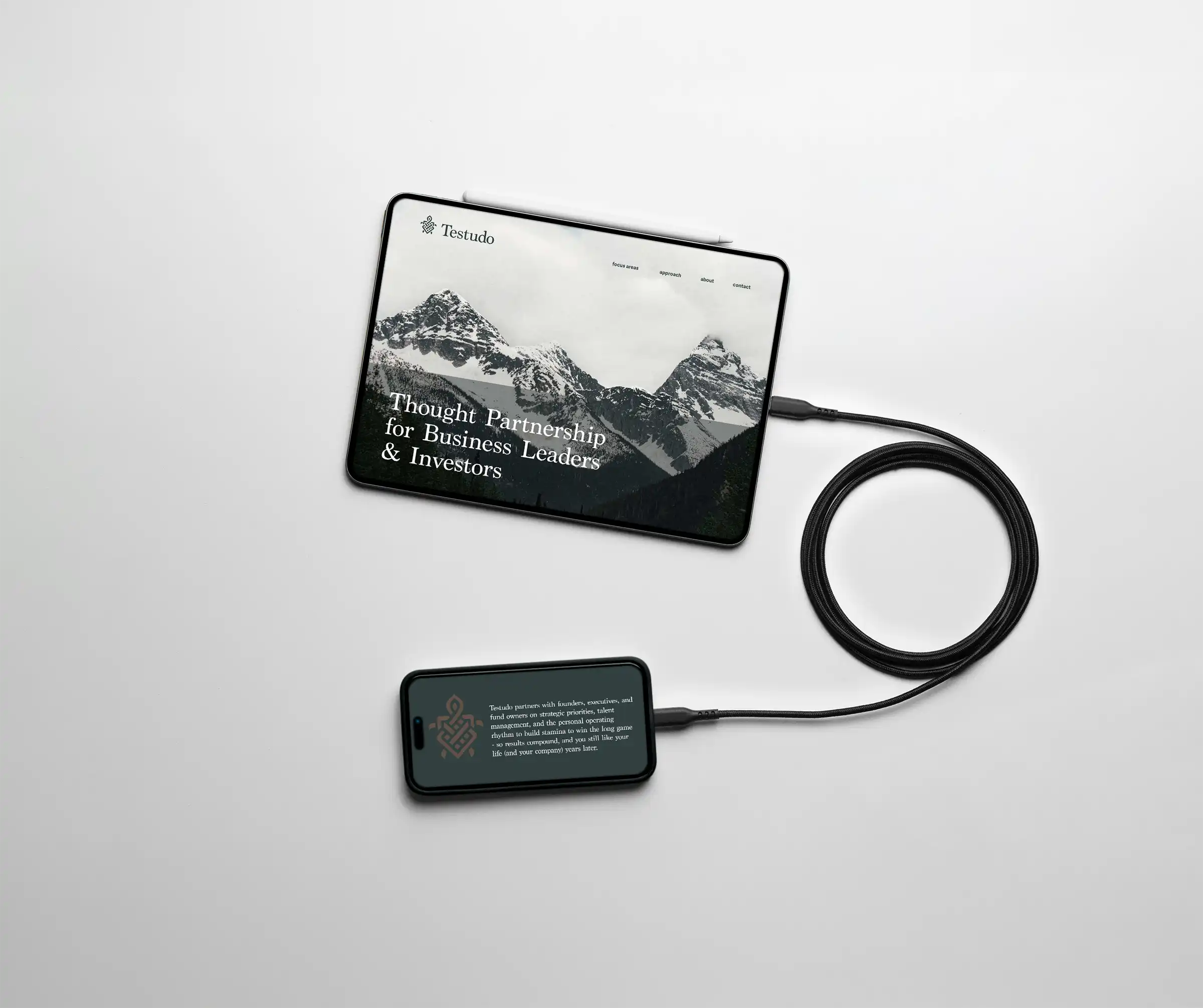 Website Design for Testudo showing the design on a tablet and an phone