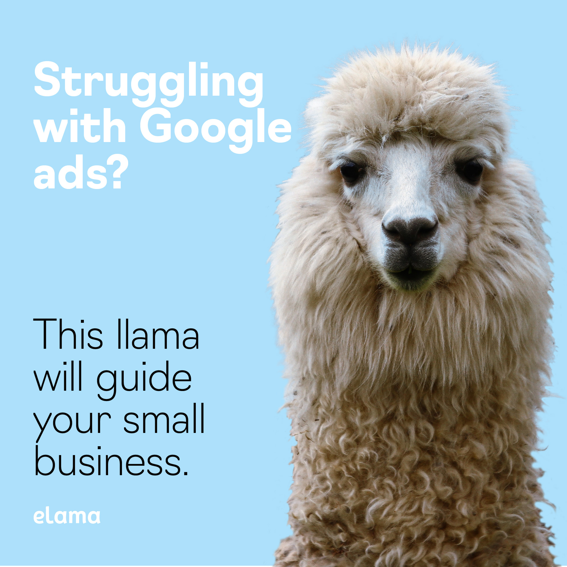 Ad campaign for eLama - "This Llama will guide your small business"