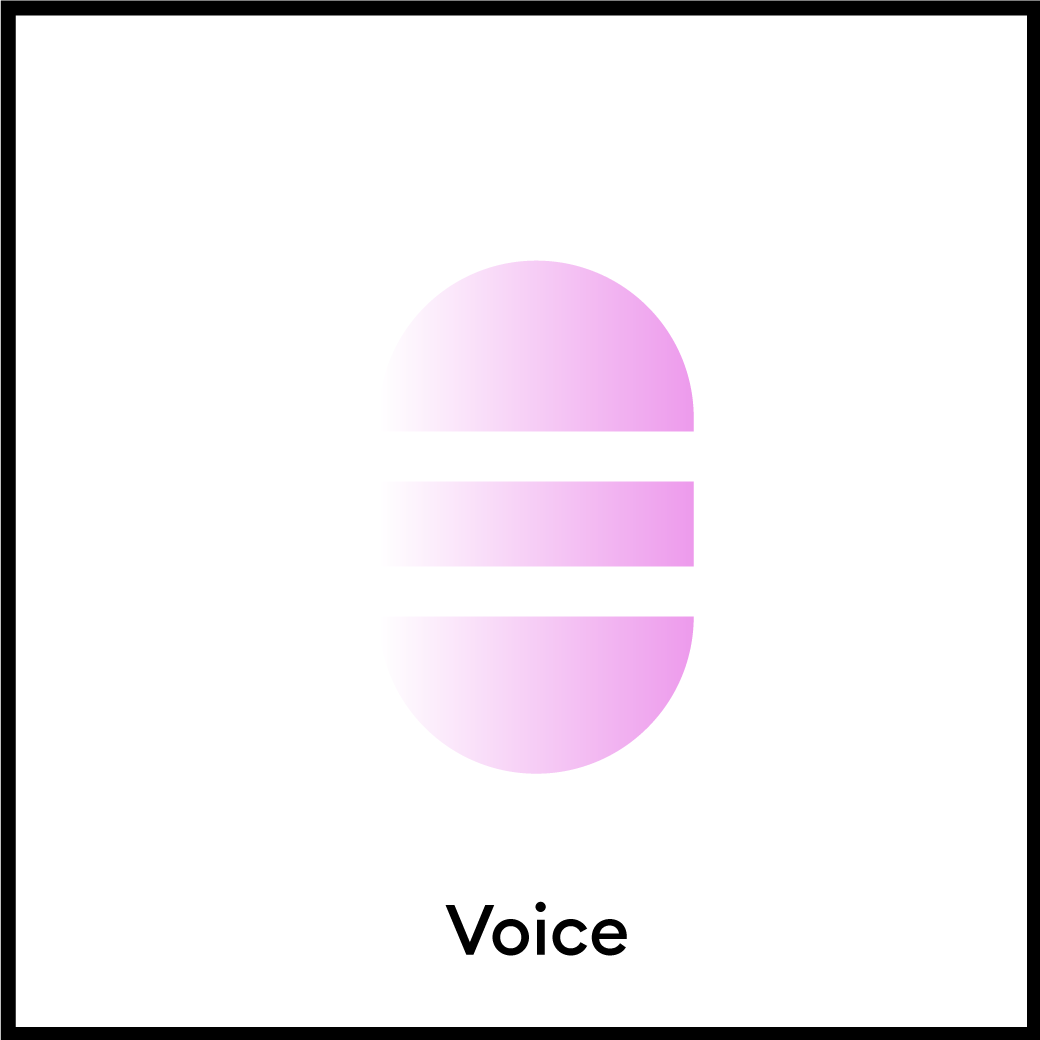 Branding Element: Voice