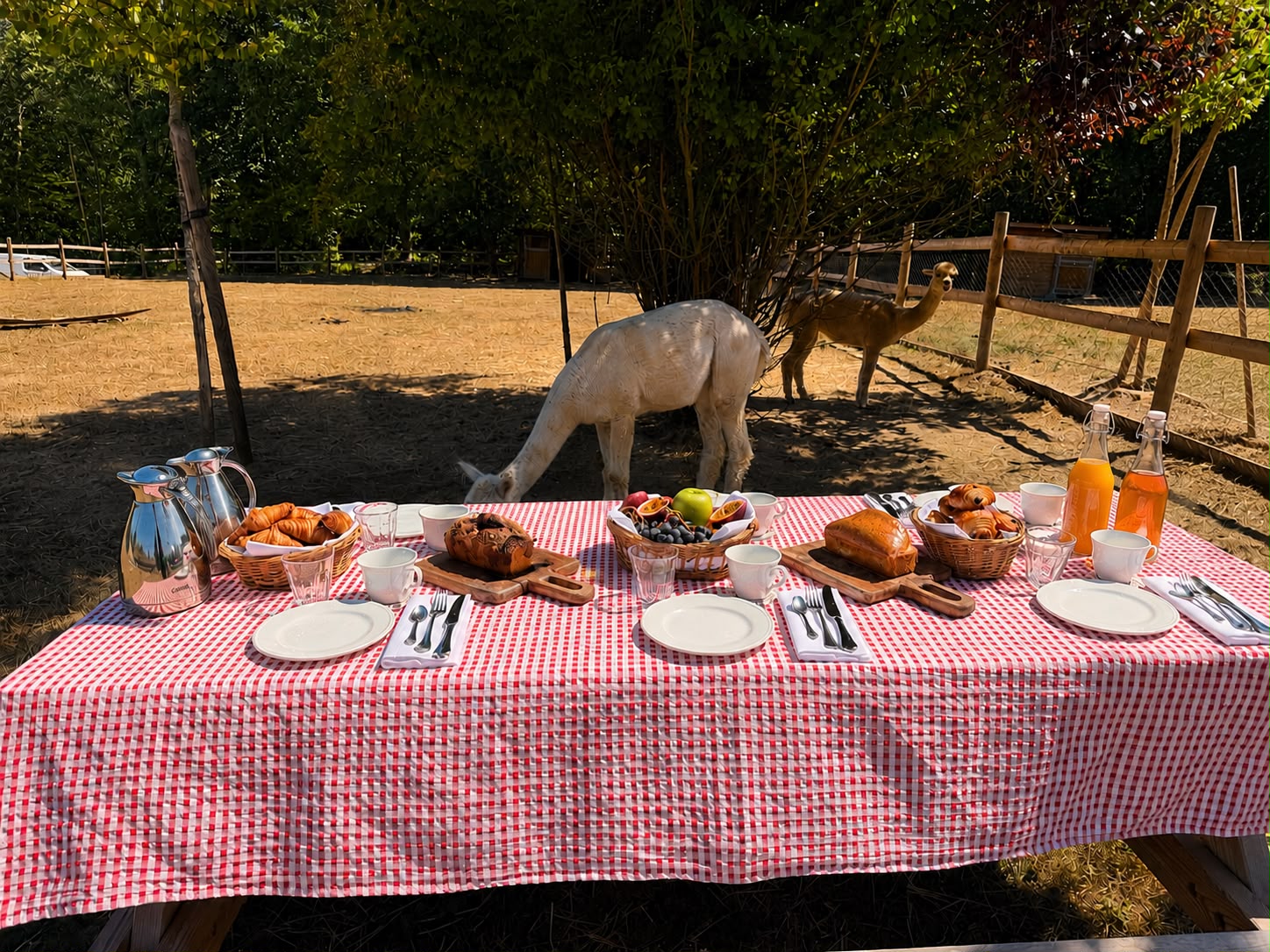 Petit-déjeuner avec les animaux de l'Abbaye des Vaux de Cernay