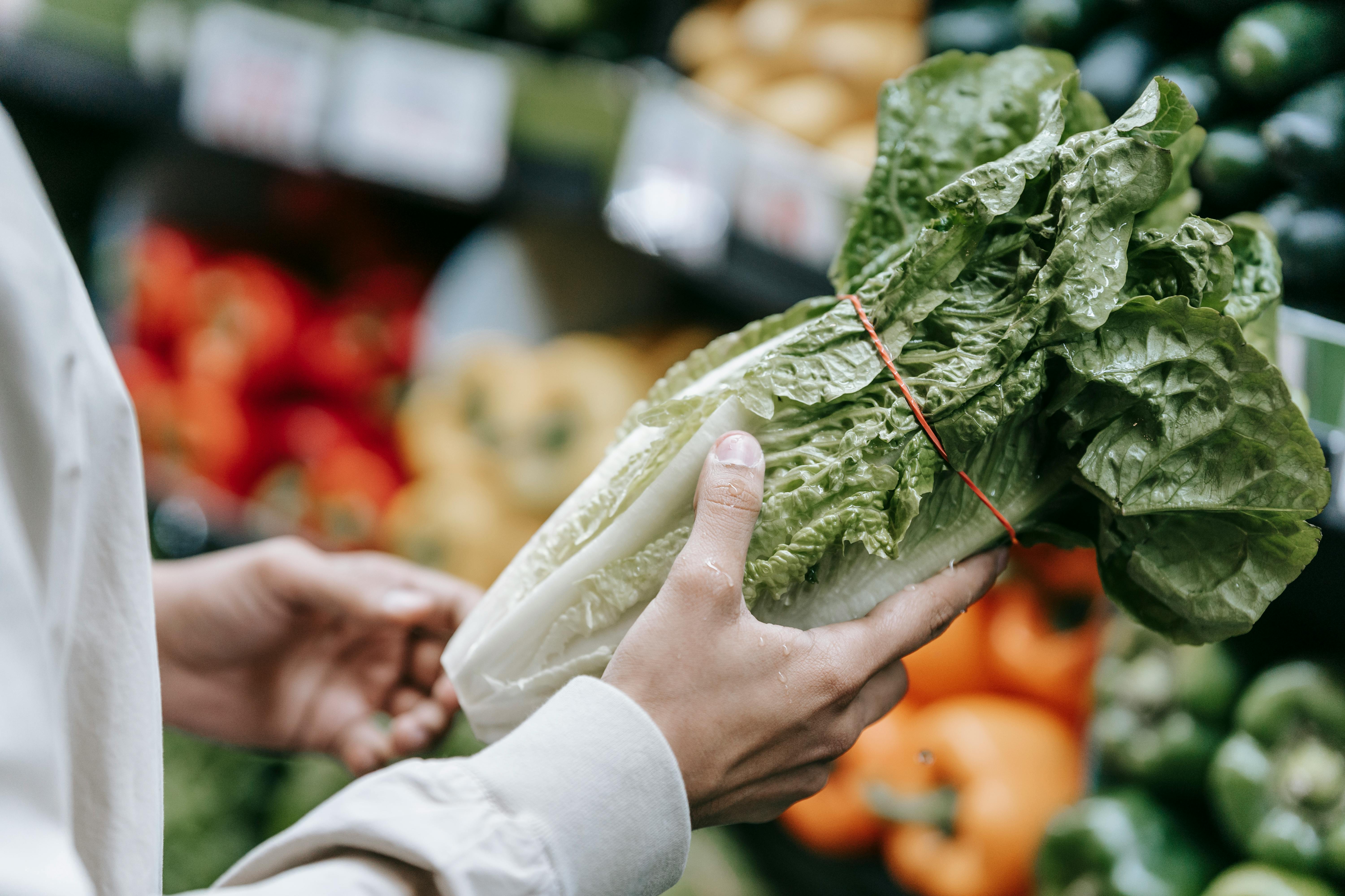 Sustainable Eating 101: How Your Food Choices Impact the Planet