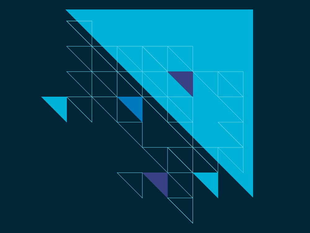 ANS Solutions Logo