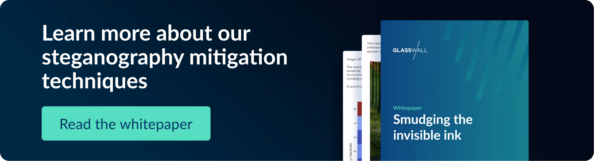 Learn more about steganography mitigation techniques