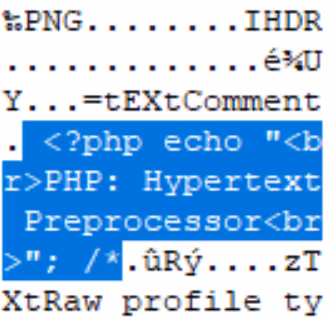  tEXt chunk definition at start and end of document, PHP payload with image data encapsulated in multi-line comment sequence 