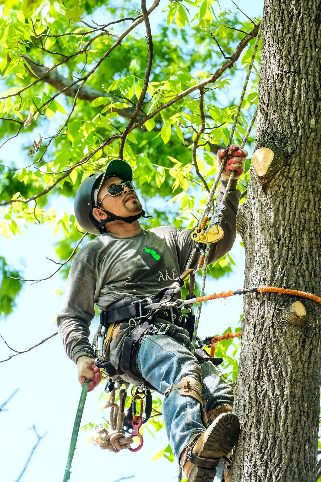 emergency tree service  Atlanta