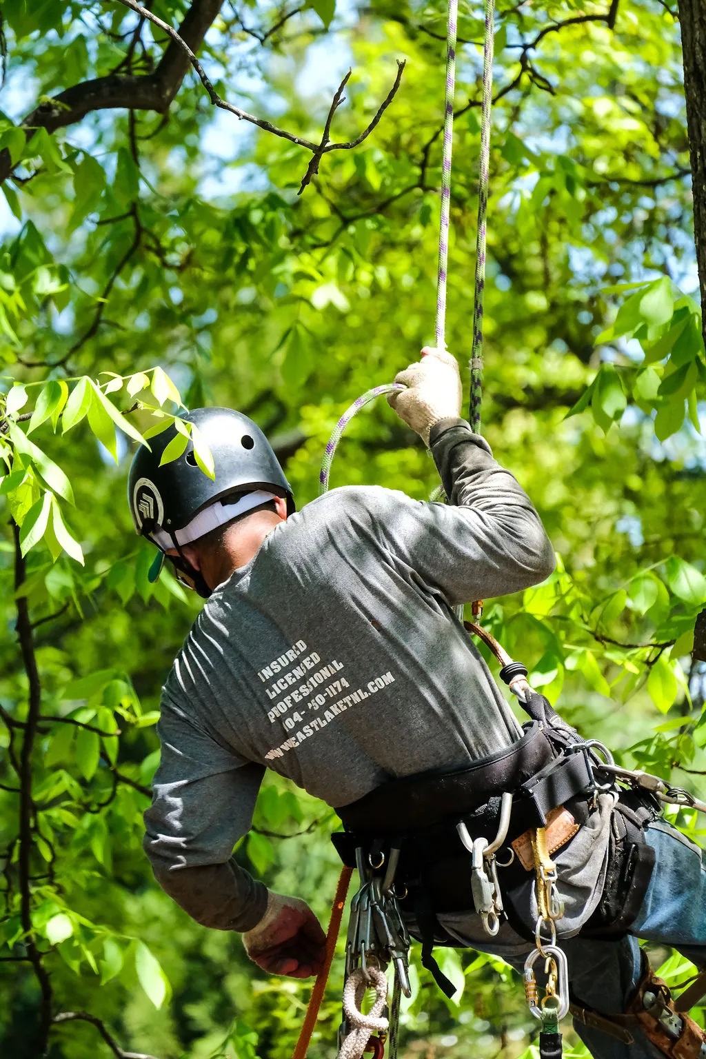 Arborist wearing a helmet and harness climbing a tree with green leaves using ropes. Professional arborist from EastLake Tree Services working on Atlanta property.
