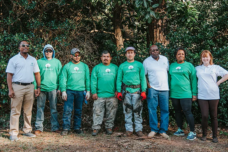 Licensed tree arborist team