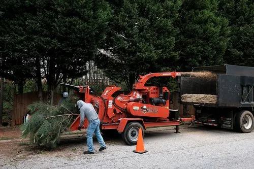 Man feeding pine tree branches into a red wood chipper machine that is loading wood chips into a nearby truck bed.