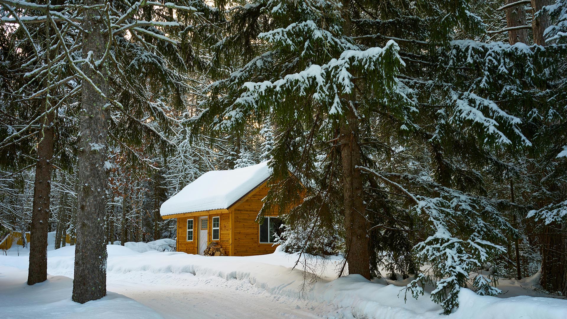 A snow-covered cabin in a pine forest.