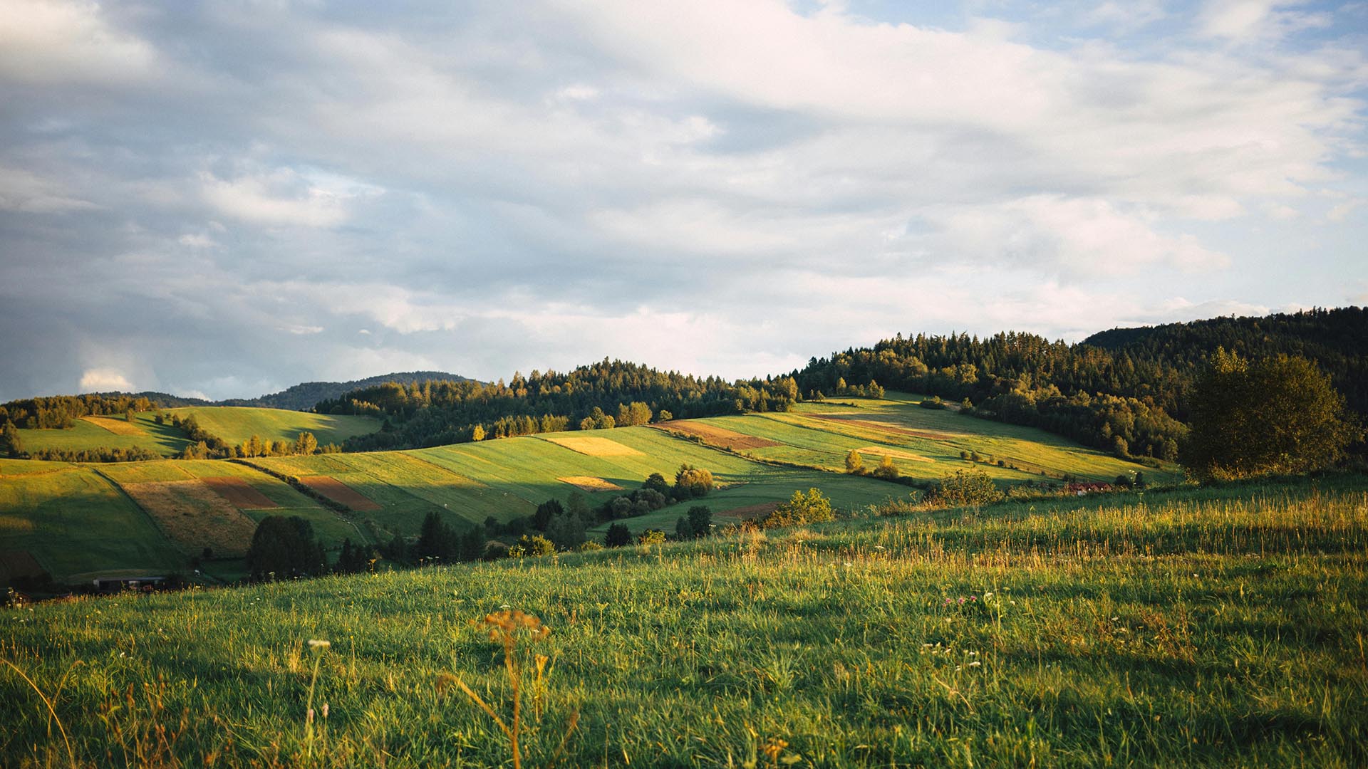 Golden hour over rolling hills and farmland.