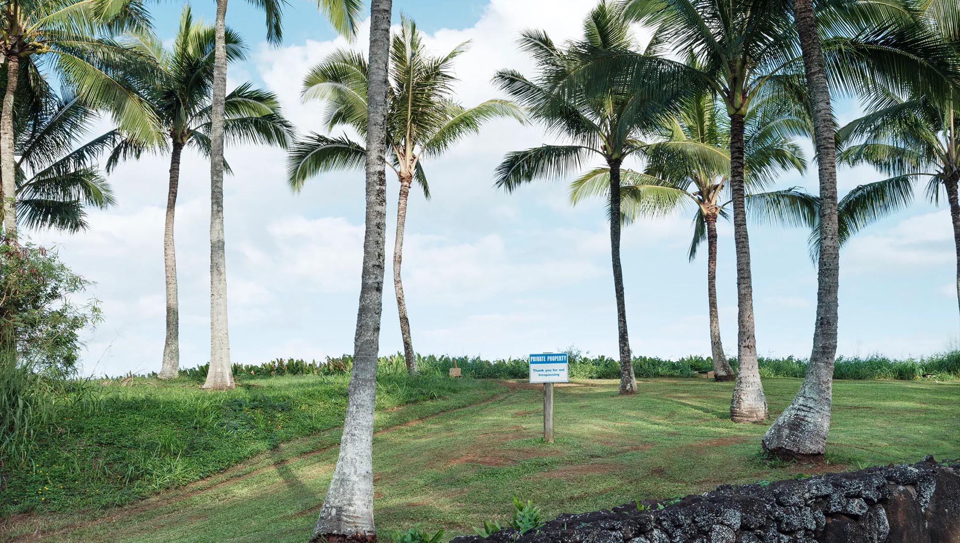 Billionaire Mark Zuckerberg's survival compound in Hawaii.