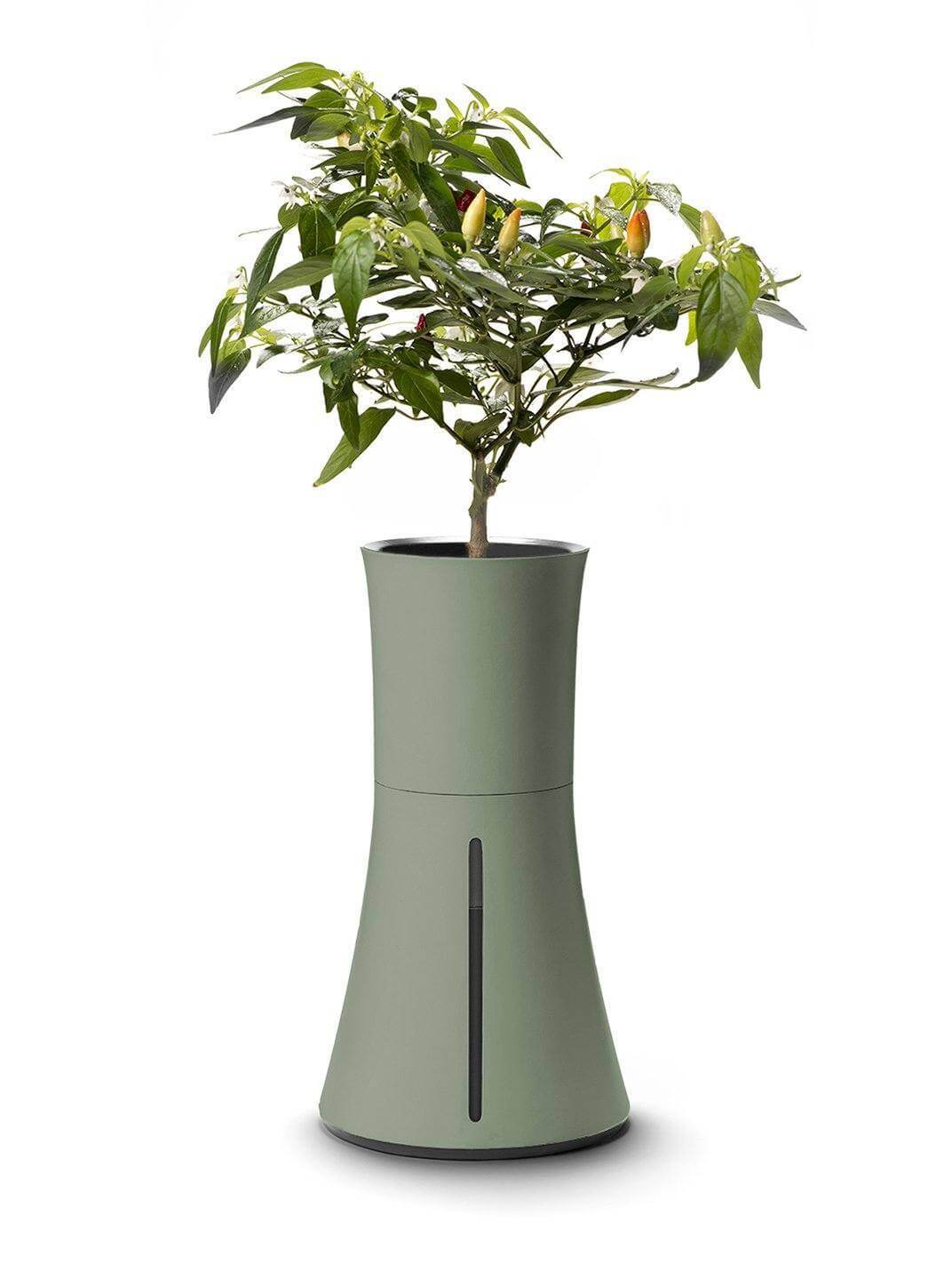 office garden gadgets