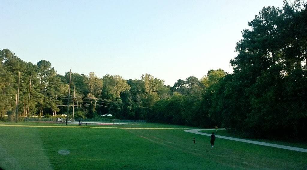 Professional tree care services in Atlanta by Eastlake Tree Service