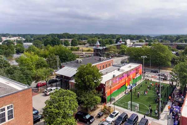 Professional tree care services in Atlanta by Eastlake Tree Service