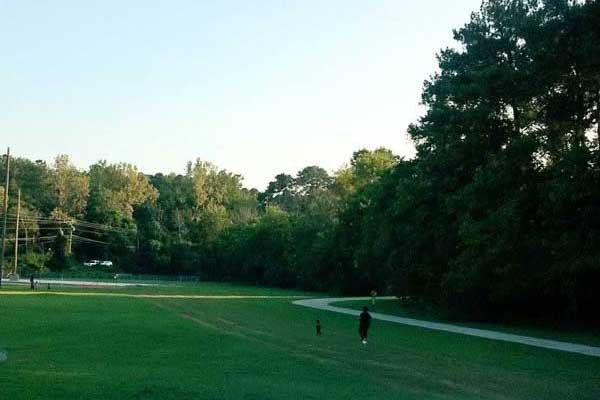 Professional tree care services in Atlanta by Eastlake Tree Service