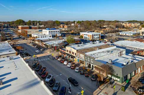 Professional tree care services in Atlanta by Eastlake Tree Service